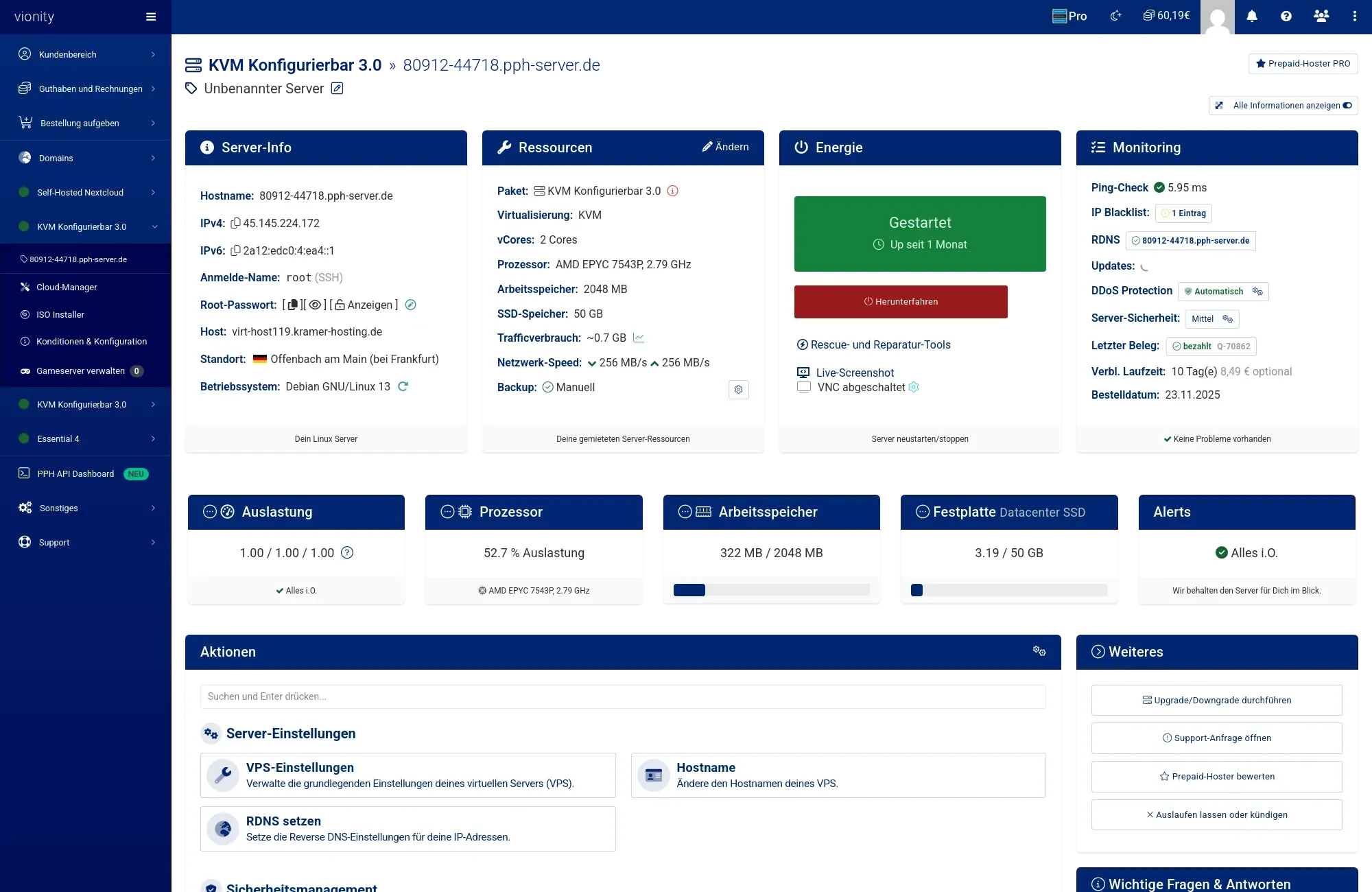 Übersicht der Serverressourcen und Leistungsdaten im Control Panel